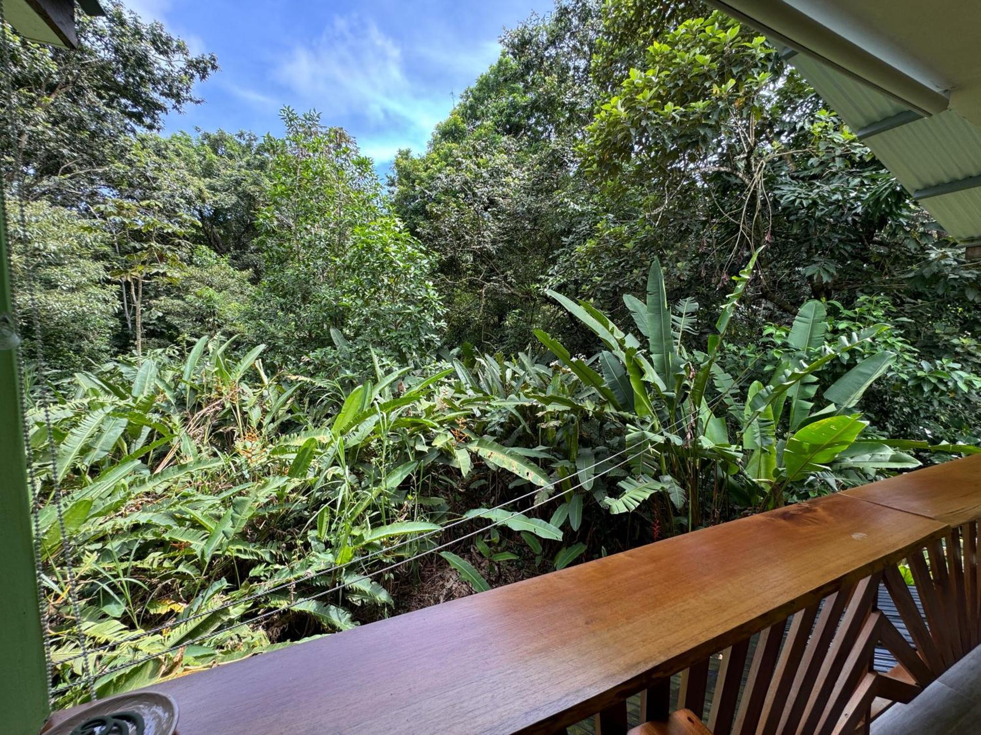 Chilamate Room Tortuguero Exterior foto